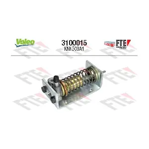 3100015 FTE