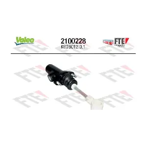 2100228 FTE