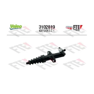 FTE 3102819