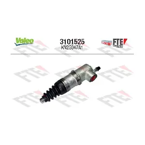 FTE 3101525