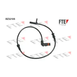 9400196 FTE