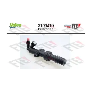FTE 3100419