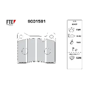 FTE 9001581