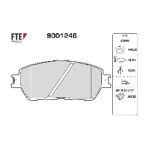 FTE 9001246