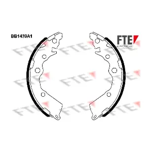 9100163 FTE