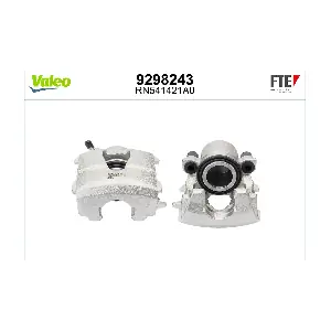 9298243 FTE