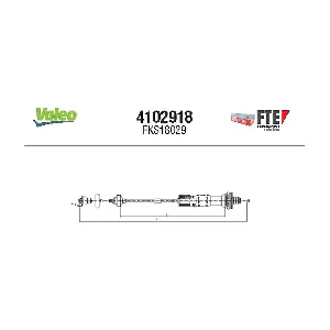 FTE 4102918