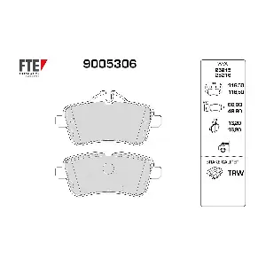 9005306 FTE