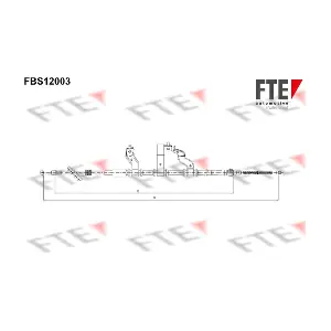 9250393 FTE