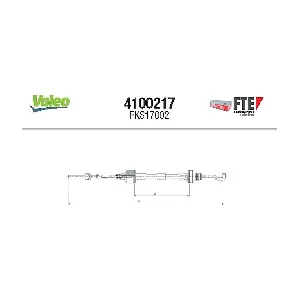 4100217 FTE