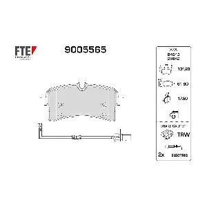 9005565 FTE
