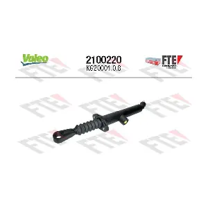 2100220 FTE
