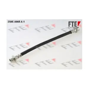 FTE 9240418