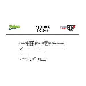 FTE 4101809