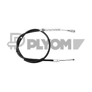 P188011 PLYOM