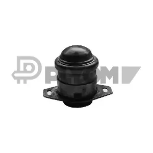 P756008 PLYOM