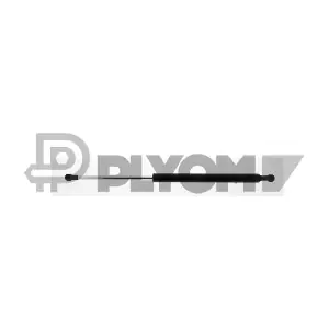 PLYOM P773175