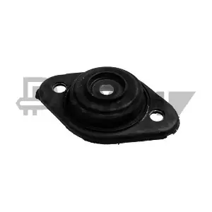 PLYOM P755819
