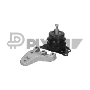 P461068 PLYOM
