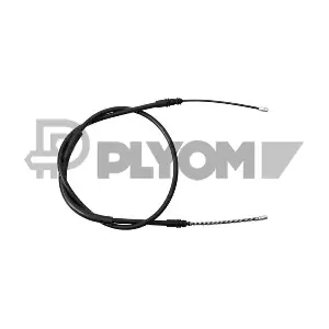 P038310 PLYOM