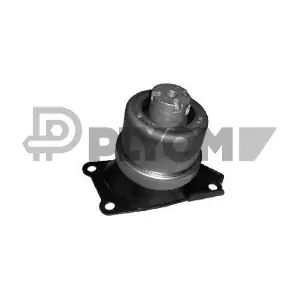 P756460 PLYOM