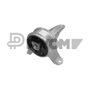 P480488 PLYOM