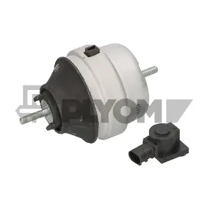 P461139 PLYOM