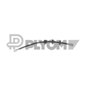 P010302 PLYOM