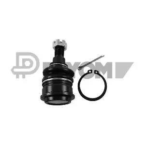 P755068 PLYOM