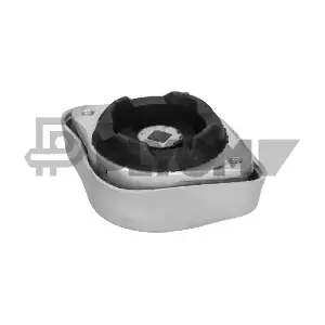 P460165 PLYOM