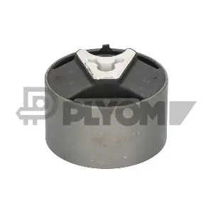 PLYOM P031696