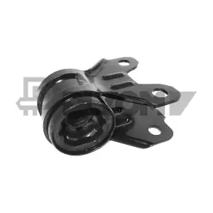 PLYOM P755448