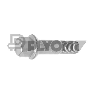 P769889 PLYOM