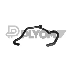 P754347 PLYOM