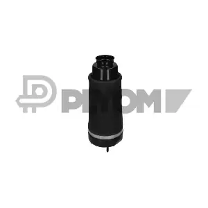 P752994 PLYOM