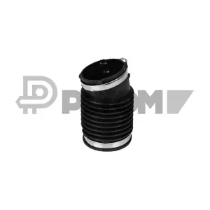 P753066 PLYOM