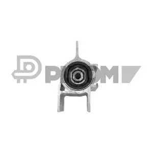 P766620 PLYOM
