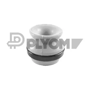 P750594 PLYOM