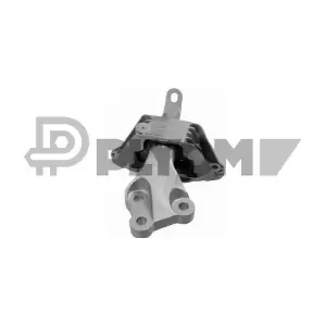 P756304 PLYOM