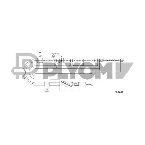 P762623 PLYOM