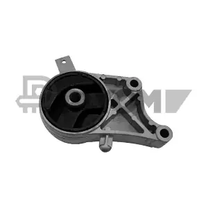 P755966 PLYOM