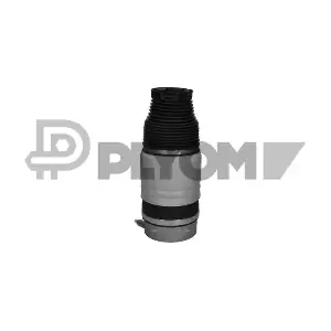 P752910 PLYOM
