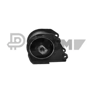010743 PLYOM