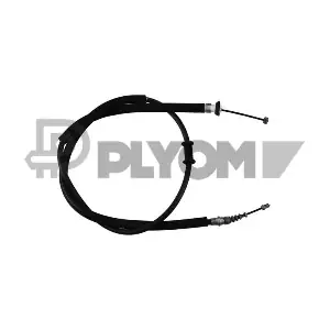 P019007 PLYOM