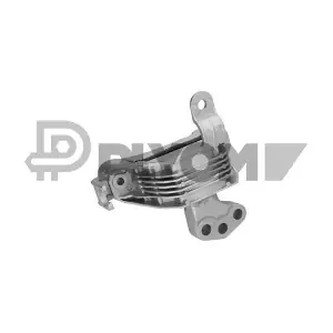 PLYOM P756295