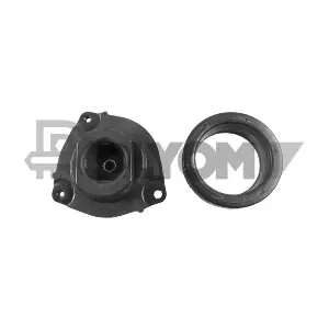P766531 PLYOM