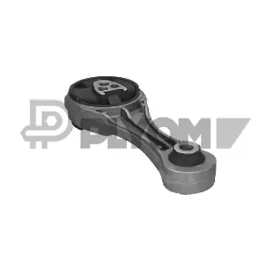 PLYOM P021287
