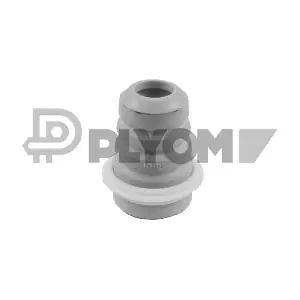 P750043 PLYOM