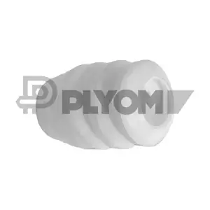 770989 PLYOM