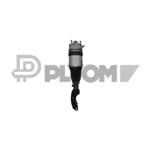 P752046 PLYOM